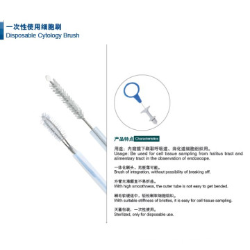 Nylon Cytology Brush Factory with CE